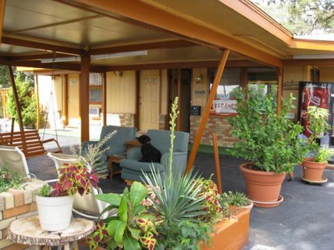 Walnut Forest Motel オースティン エクステリア 写真